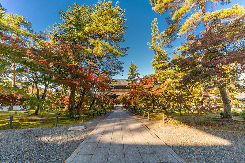 Autumn leaves, Kyoto, Jaoan