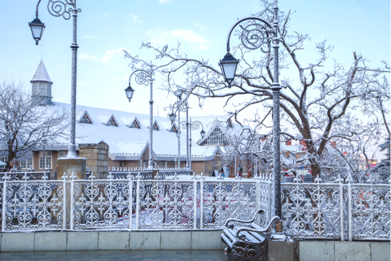 Find cheap hotels in Shimla