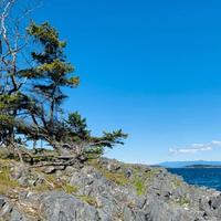 A Cozy Family get away suite in South Nanaimo